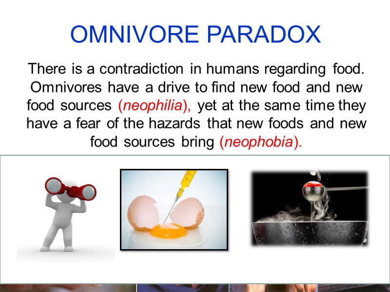 There is a contradiction in humans regarding food. Omnivores have a drive to find